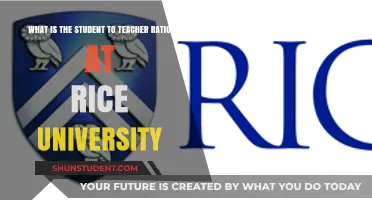 Understanding Rice University's Student-to-Teacher Ratio: A Comprehensive Overview
