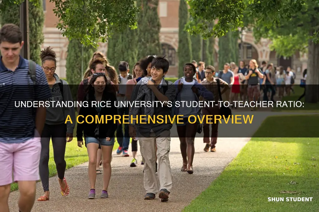 what is the student to teacher ratio at rice university