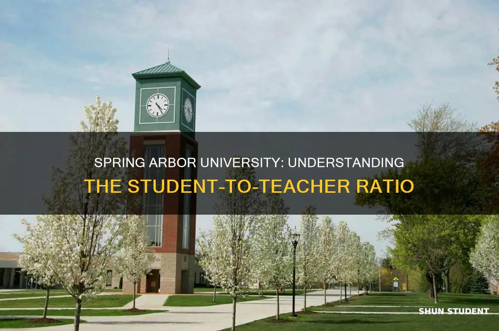 what is the student to teacher ratio at spring arbor