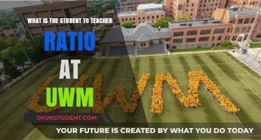 Understanding UWM's Student-to-Teacher Ratio: What You Need to Know