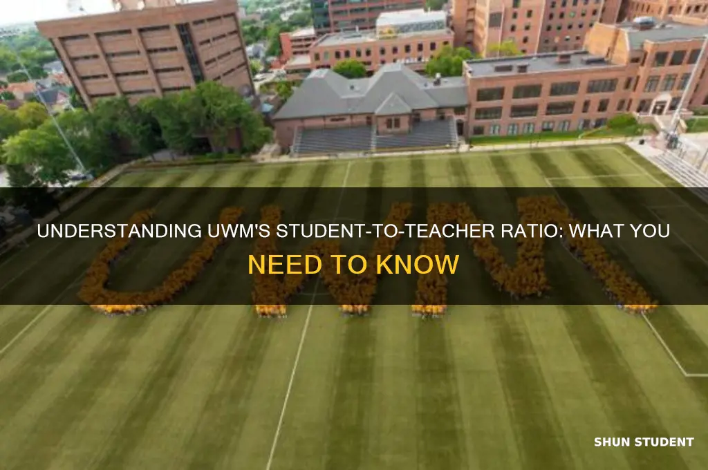 what is the student to teacher ratio at uwm