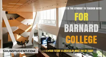 Barnard College's Student-to-Teacher Ratio: What You Need to Know