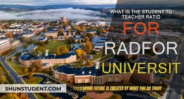 Radford University's Student-Teacher Ratio: A Key to Understanding Class Sizes