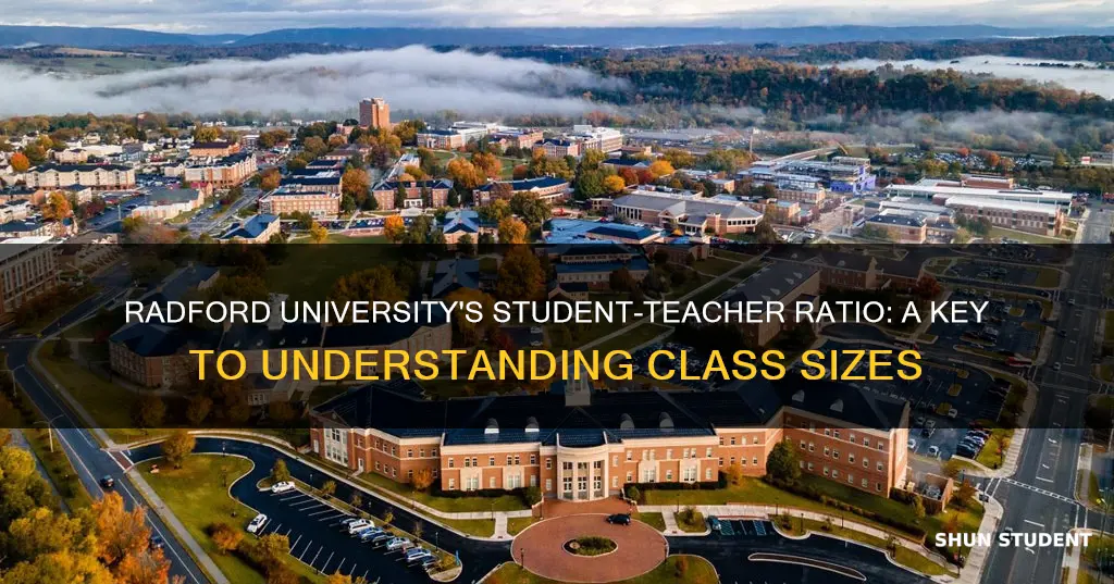 what is the student to teacher ratio for radford university