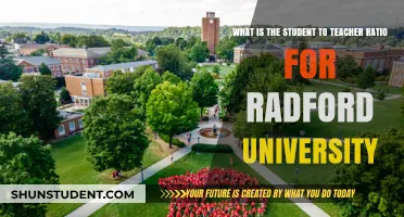 Radford University: Student-Teacher Ratio Analysis