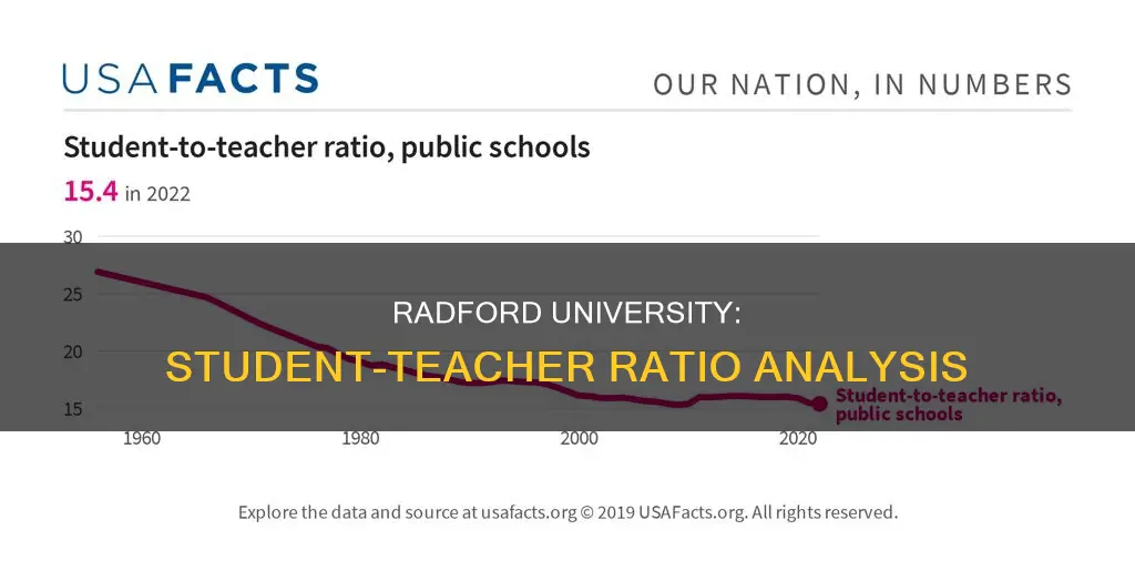 what is the student to teacher ratio for radford university