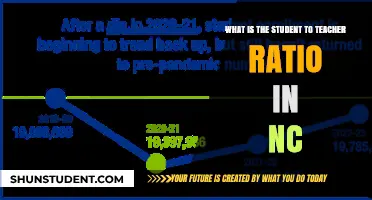 Understanding North Carolina's Student-Teacher Ratio: A Comprehensive Overview