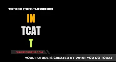 Understanding TCAT T's Student-to-Teacher Ratio: A Comprehensive Overview