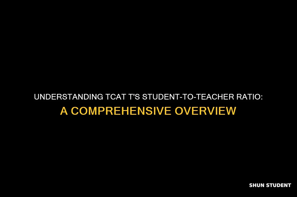what is the student-to-teacher ratio in tcat t