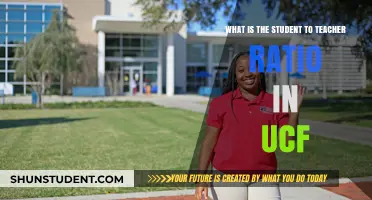 Understanding UCF's Student-to-Teacher Ratio: What You Need to Know