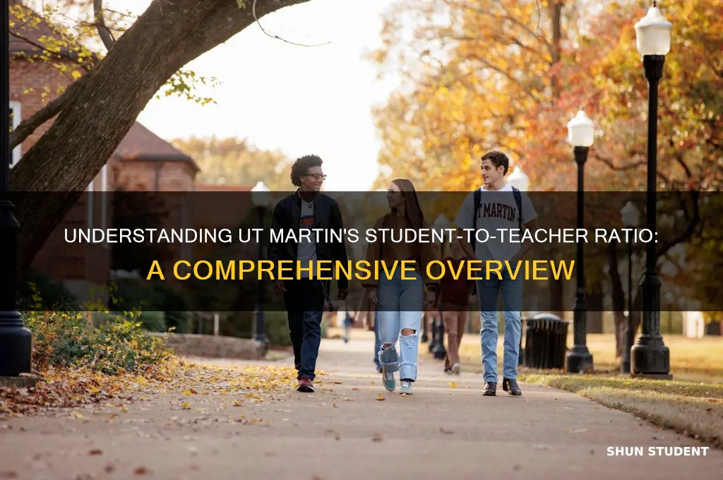what is the student-to-teacher ratio in utmartin