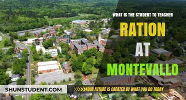 Understanding Montevallo's Student-to-Teacher Ratio: A Comprehensive Overview