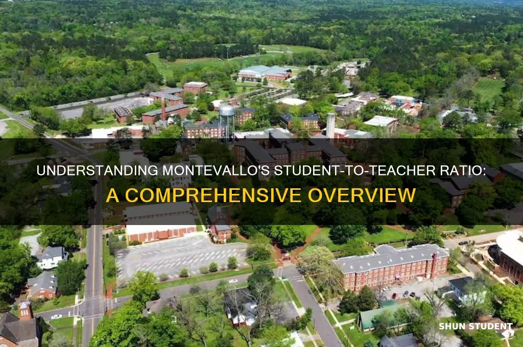 what is the student to teacher ration at montevallo