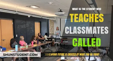 Peer Educators: The Role of Students Who Teach Classmates