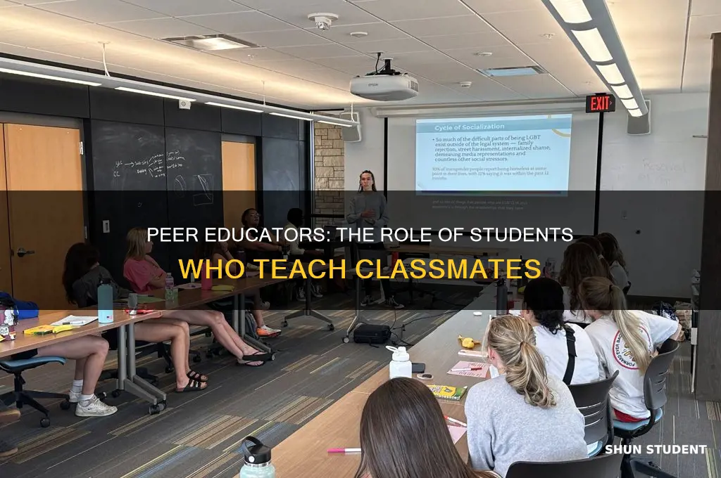 what is the student who teaches classmates called