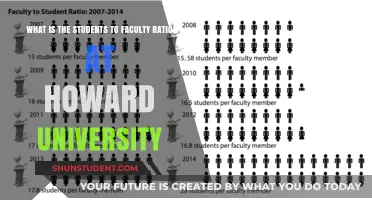 Faculty Accessibility at Howard University