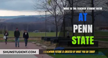Understanding Penn State's Teacher-Student Ratio: What You Need to Know