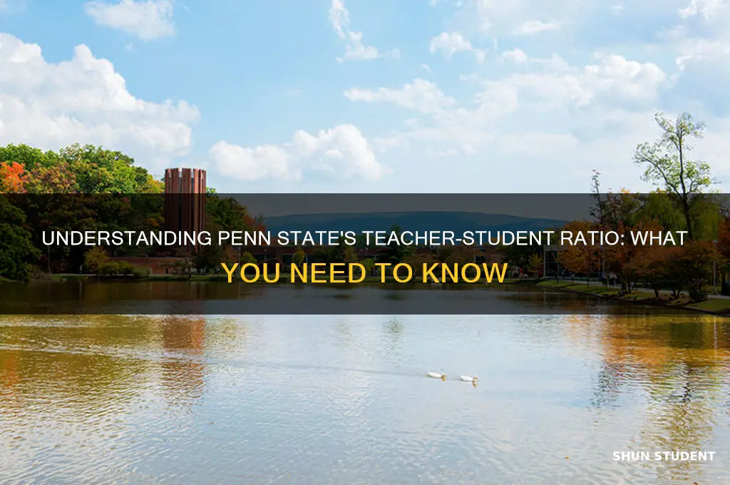 what is the teacher student ratio at penn state