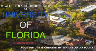 UF's Class Sizes: Exploring the Teacher-Student Ratio