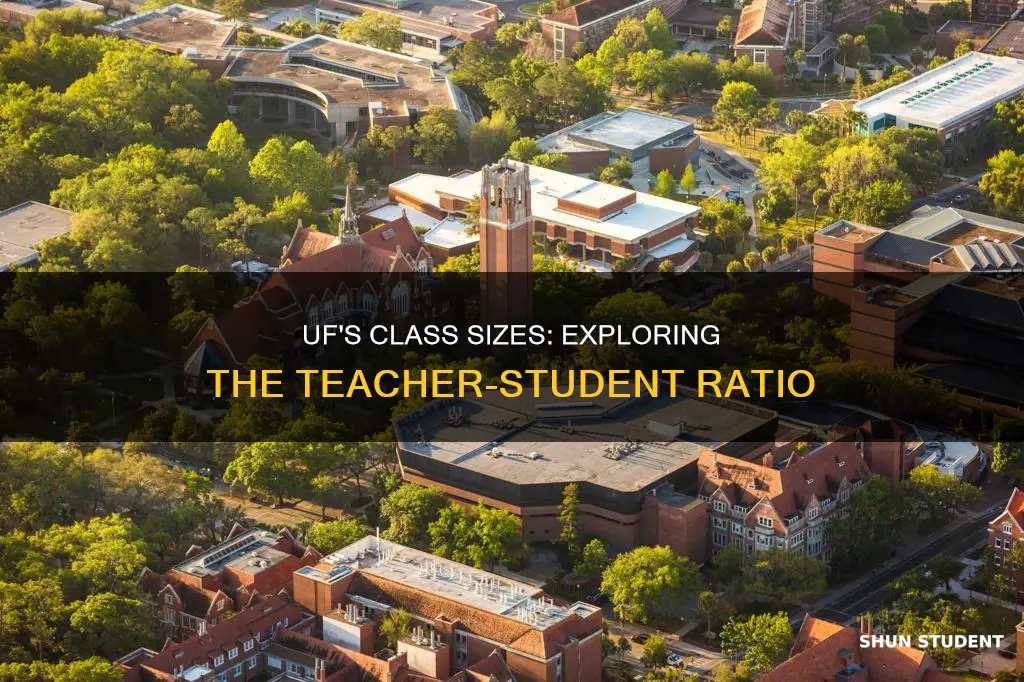 what is the teacher student ratio at university of florida