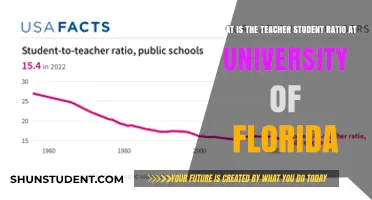 Student-Teacher Ratio at University of Florida: How Does It Compare?
