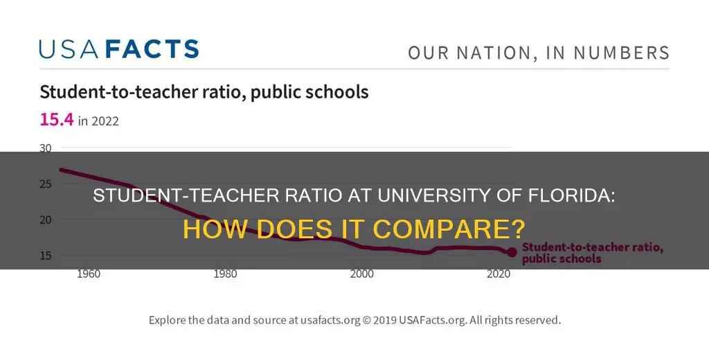 what is the teacher student ratio at university of florida