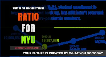 Understanding NYU's Teacher-Student Ratio: What You Need to Know
