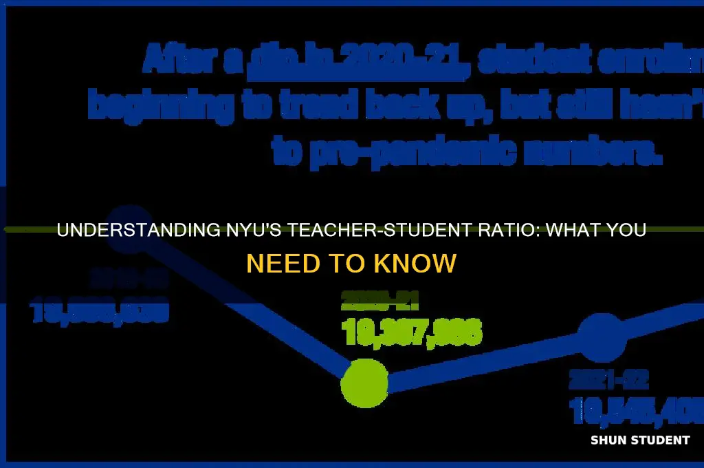 what is the teacher student ratio for nyu