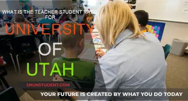 Understanding the Teacher-Student Ratio at the University of Utah