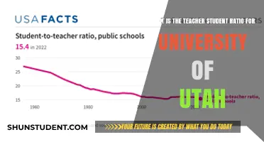 Utah University's Student-Teacher Ratio: An In-Depth Analysis