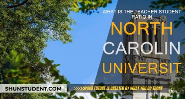 North Carolina University: Balancing Class Sizes and Quality Education