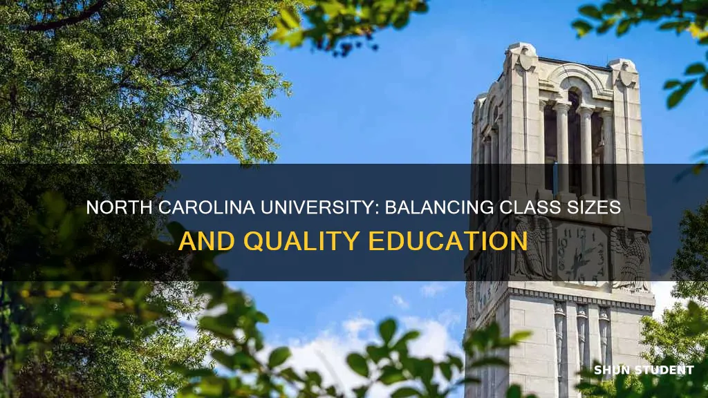 what is the teacher student ratio in north carolina university