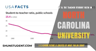 Teacher-Student Ratio: North Carolina University Insights