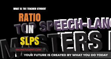 Understanding Teacher-Student Ratios in Speech-Language Pathology Programs