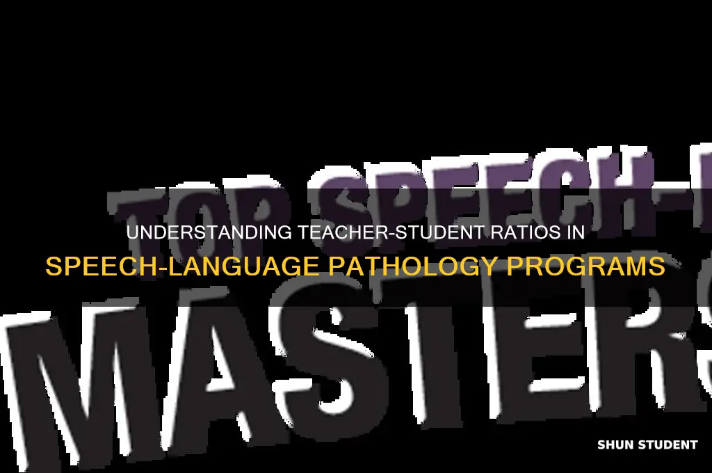 what is the teacher student ratio in slps