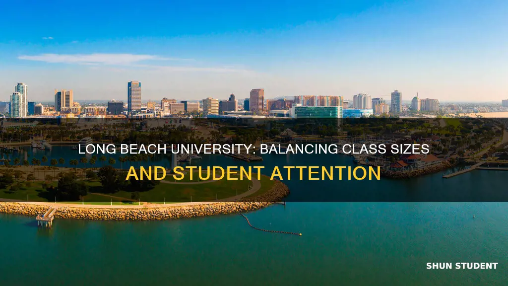 what is the teacher student ratio inlong beach university