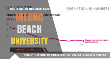 Long Beach University: Student-Teacher Ratio Insights