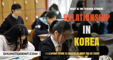 Understanding Korea's Unique Teacher-Student Dynamics and Cultural Respect