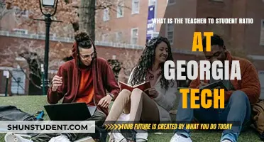 Georgia Tech's Teacher-Student Ratio: What You Need to Know