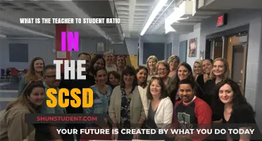 Understanding SCSD's Teacher-Student Ratio: A Comprehensive Overview