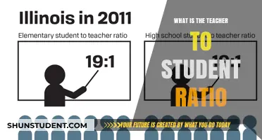 Understanding Teacher-Student Ratios: Impact on Learning and Classroom Dynamics