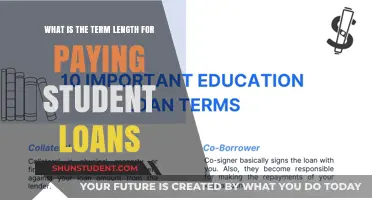 Student Loan Terms: How Long Are You Paying?