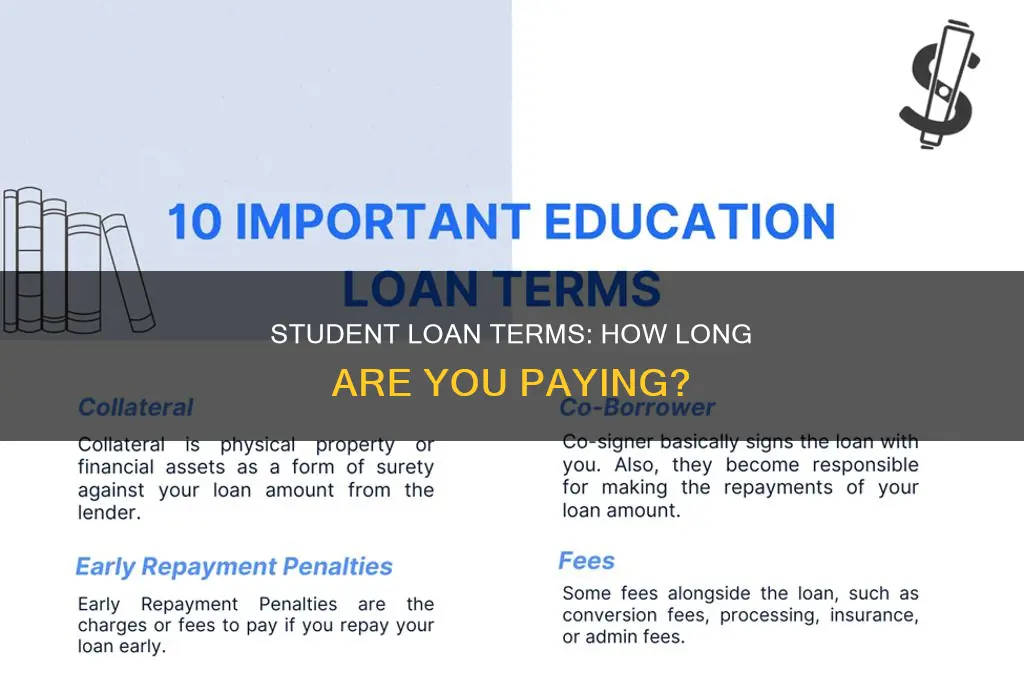 what is the term length for paying student loans