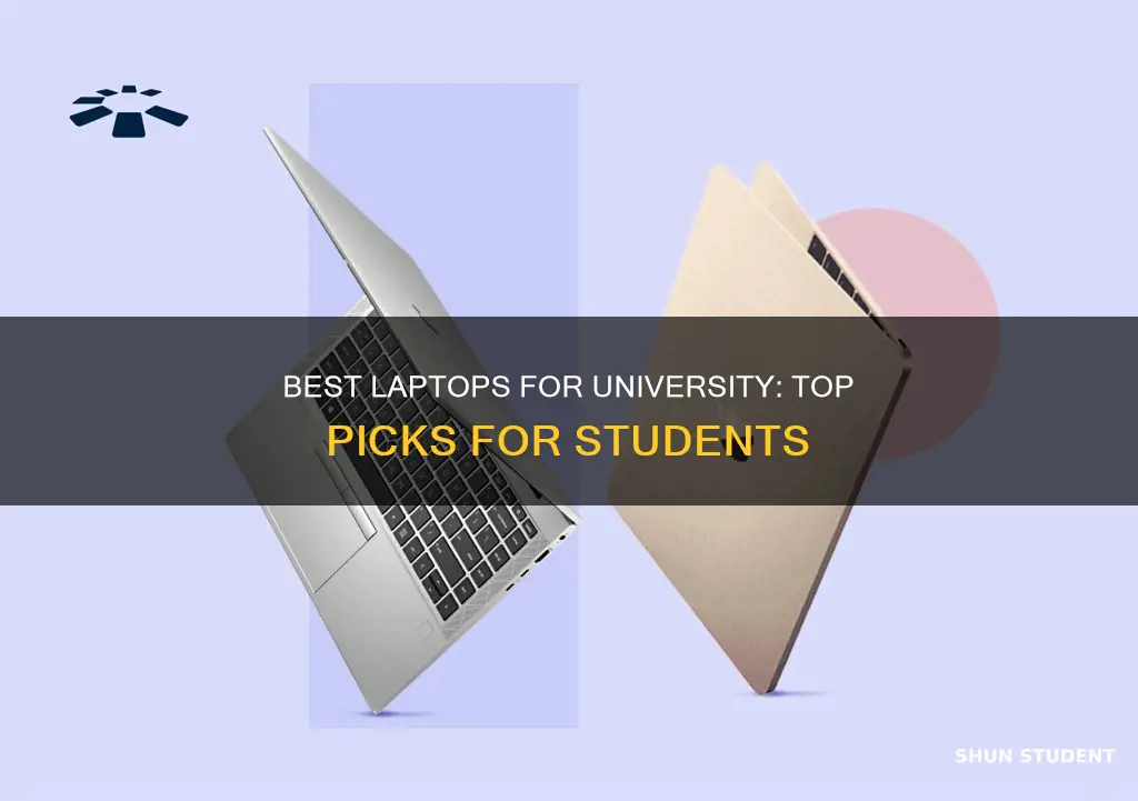 what is the top laptop for a university student
