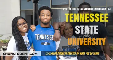 Tennessee State University: Enrollment Figures and Trends