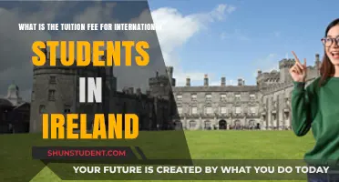 International Student Fees in Ireland: How Much?