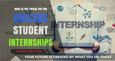 Summer Internship Pay: How Much Can College Students Expect?
