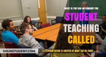 Understanding UGA's Student Teaching Internship Program: Name and Details