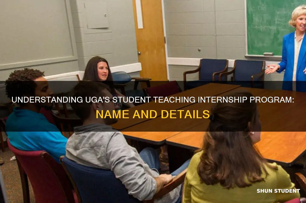 what is the uga internship for student teaching called