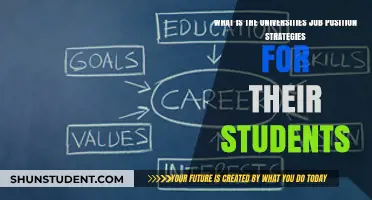 Job-Ready Students: University Strategies for Career Success